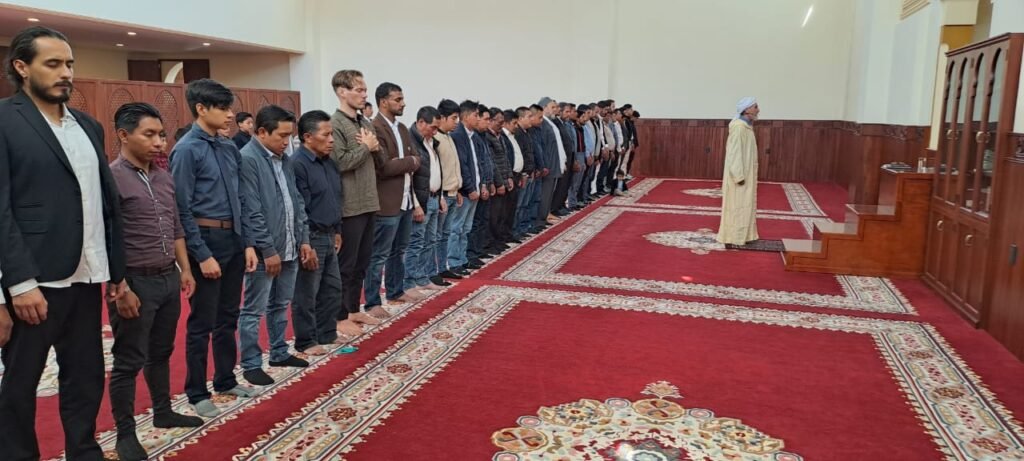 E88ADFE5-6036-4EAA-B2C1-E0F43BC2FA3A